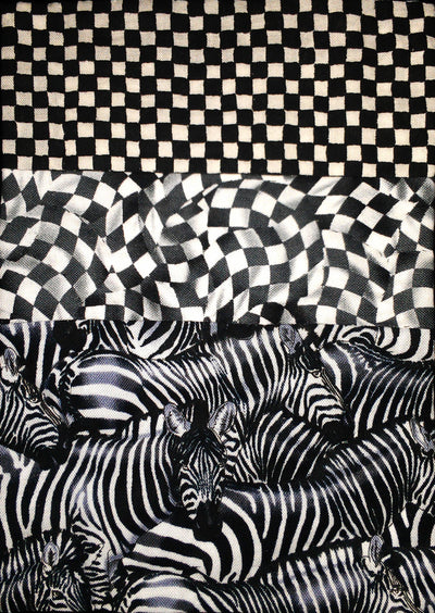 Haiku + Quilt = Haikuilt (Workshop or Lecture)