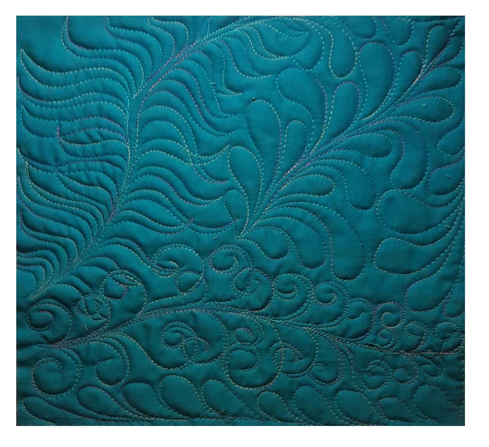 Intro 2 to Free-Motion Mastery in a Month: Teardrops, S-Curves, Spirals & Feathers (3-hour workshop)