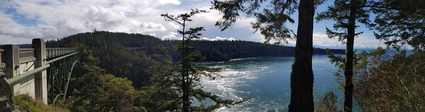 An Inspiration Break with a Haiku Master