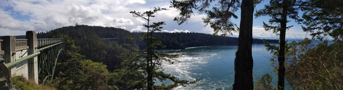 An Inspiration Break with a Haiku Master