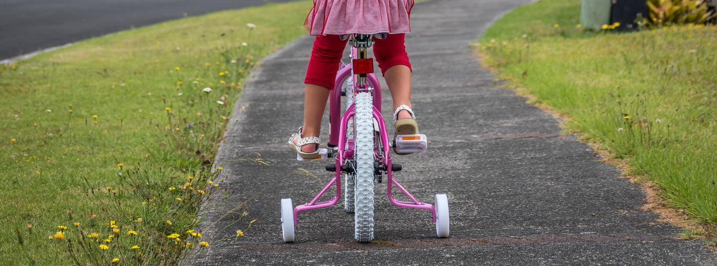 Free-Motion Quilting <br>and the 